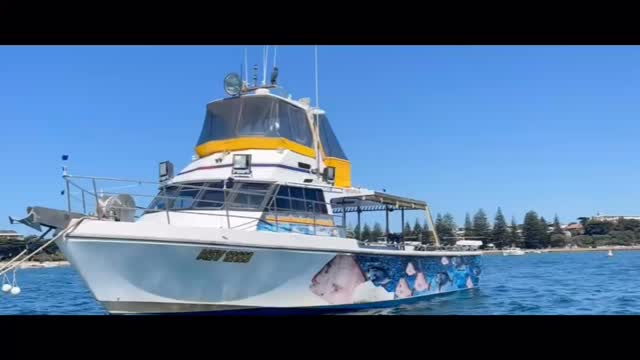 Best fishin trip ever, Book now !! 🐟#morningtonpeninsula #sorrento #fishing #fyp #bassstrait