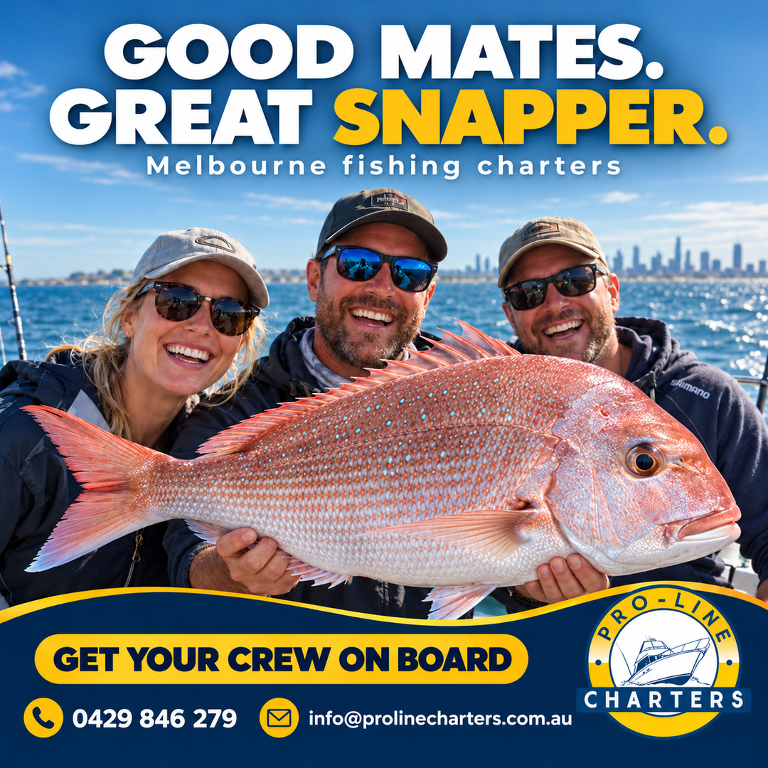 Melbourne Cup Long Weekend bookings are now open! Round up your mates & book your fishing trip! 5 hours of fishing, with everything you need included. 
6:00am or 11:00am charters available 🐠 
Book online today!

#fishing #fishingtrip #morningtonpeninsula #longweekend #melbournecup #sorrento #fishingcharters #snapper #snapperseason